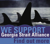 logo for Georgia Straight Alliance supporter