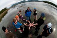Marine Biology at the Beach on Vancouver Island