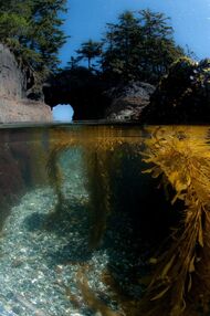 image by Bruce Kirkby Ocean Lagoon Kayaking on Vancouver Island
