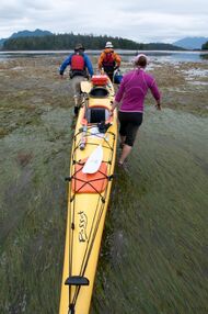 Custom Family Adventure Travel & Kayaking with West Coast Expeditions