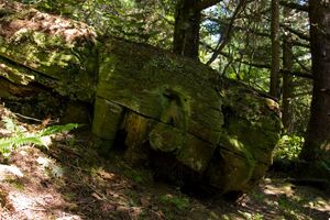 Fallen Checleset Totem at Acous Peninsula, Checleset Bay Area, Kyuquot, Vancouver Island