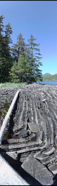 Geology and Marine Biology in the Wilderness on Vancouver Island