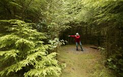 Workshops & Retreats