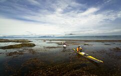 4-Day Kayaking Kyuquot Sound