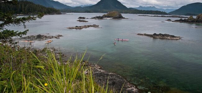 Kayakers Paradise - with West Coast Expeditions