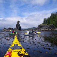 Sea Kayaking Expedition Tour in the Wilderness of Vancouver Island