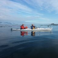 Guided Sea Kayaking Tours in the Coastal Waters of Vancouver Island
